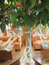 sIMG_0730