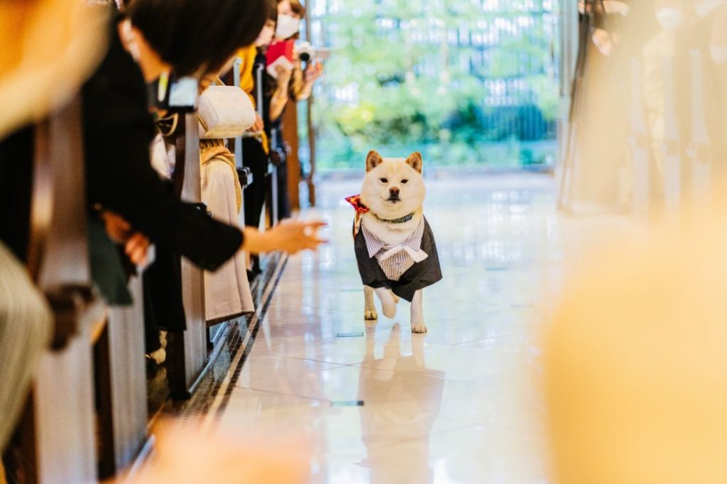 フェスとキャンプのウエディング